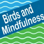 Birds and Mindfulness