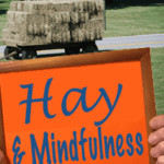 Hay-and-Mindfulness